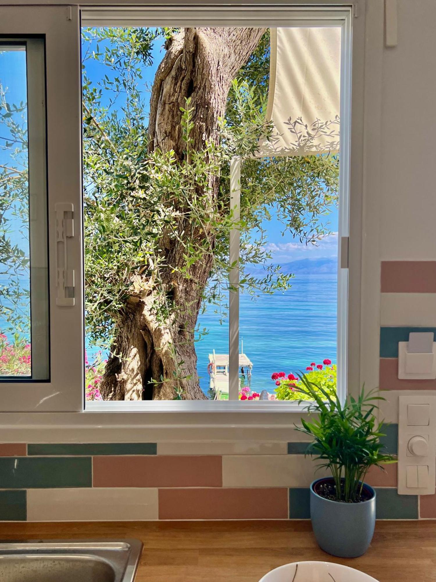 Kohyli Boutique Διαμέρισμα